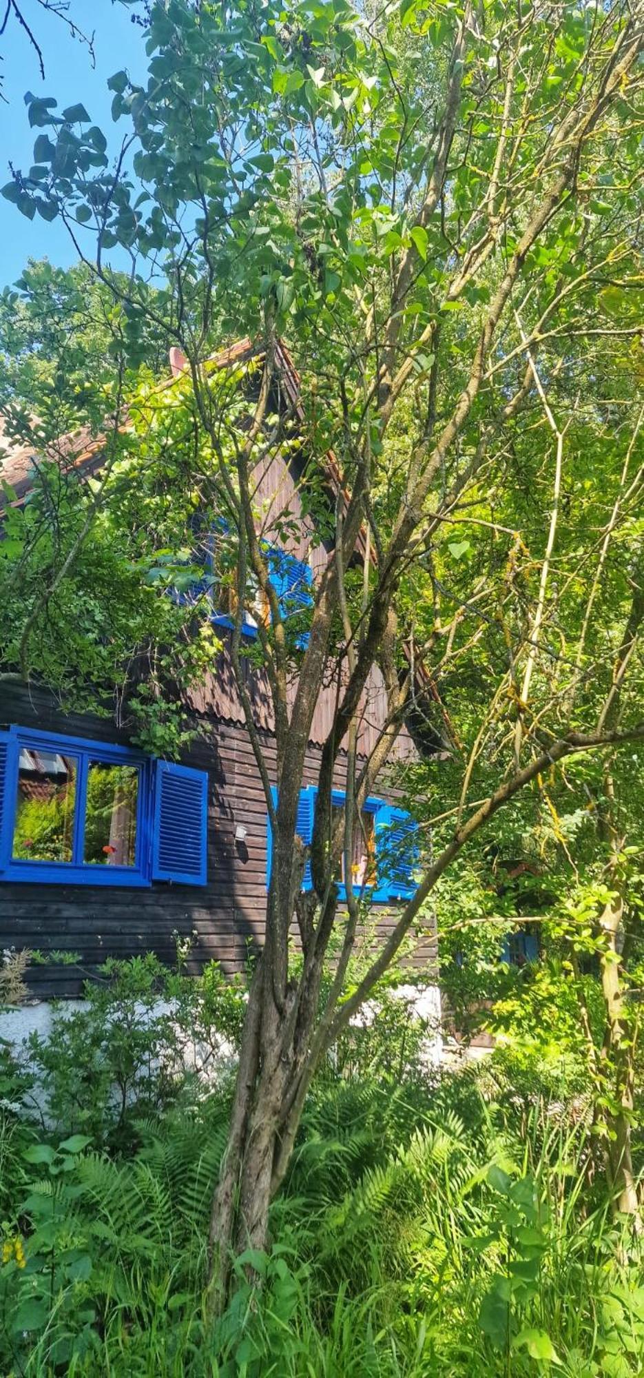 Forsthaus Sommerleite Kammerstein Экстерьер фото